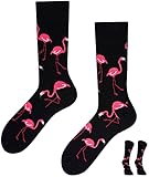 TODO Colours Lustige Socken mit Motiv - mehrfarbige, bunte, Verrückte für Herren und Damen (35-38, Flamingo Lover)