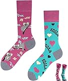 TODO Colours Lustige Socken mit Motiv - mehrfarbige, bunte, Verrückte für Herren und Damen (35-38, Koala Socken)