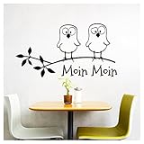 Grandora W5023 Wandtattoo Spruch Moin Moin + lustige Vögel I schwarz (BxH) 39 x 21 cm I Küche Esszimmer Aufkleber Wandsticker Wandaufkleber