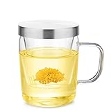 Friedos Tee Glas mit Sieb und Edelstahl Deckel 500 ml für Losen Tee oder Beutel - Tasse aus Borosilikat Glas mit Filter bis 130°C