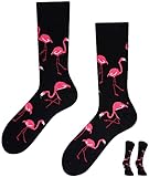 TODO Colours Lustige Socken mit Motiv - mehrfarbige, bunte, Verrückte für Herren und Damen (35-38, Flamingo Lover)