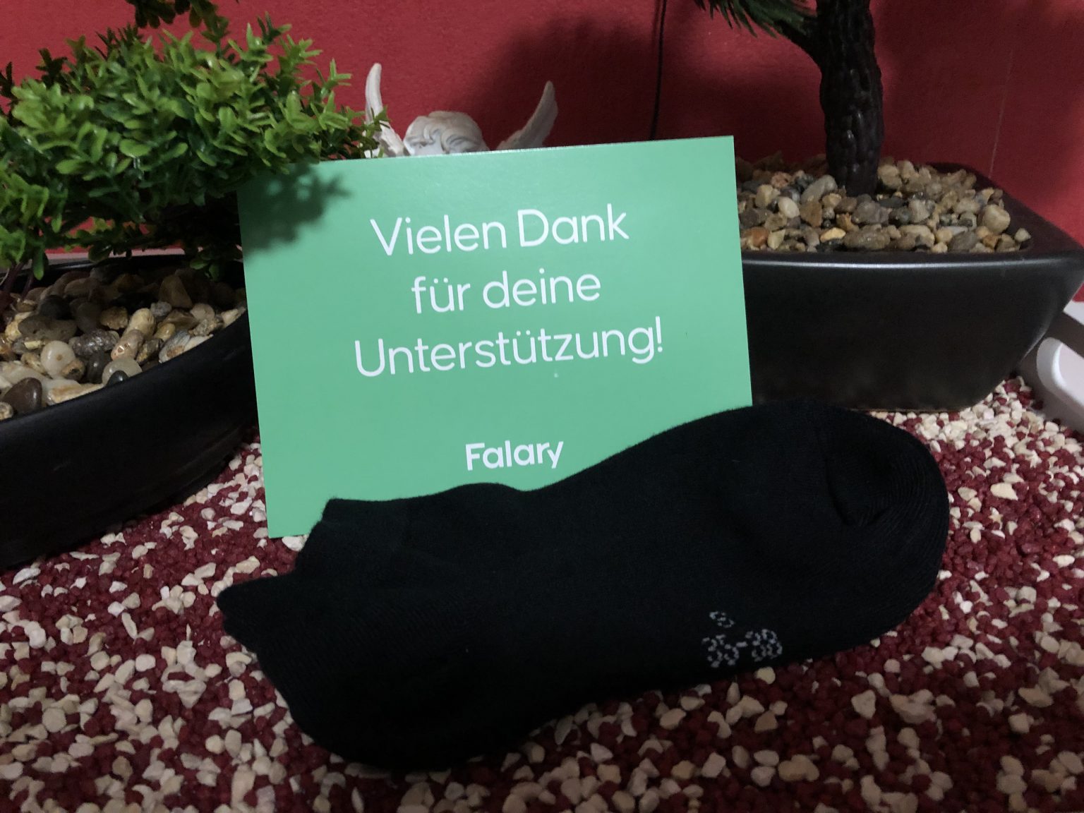 Die Falary Sneaker Socken