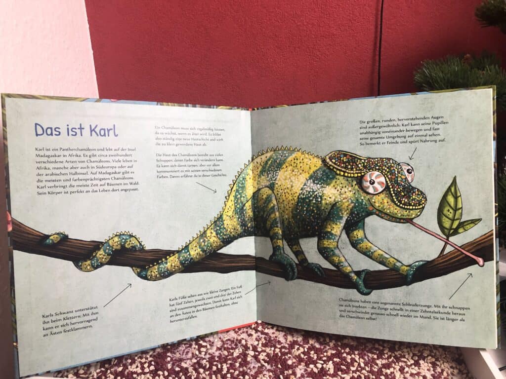 Die erste Seite Karl Kunterbunt - ein Chamäleon zeigt Farbe