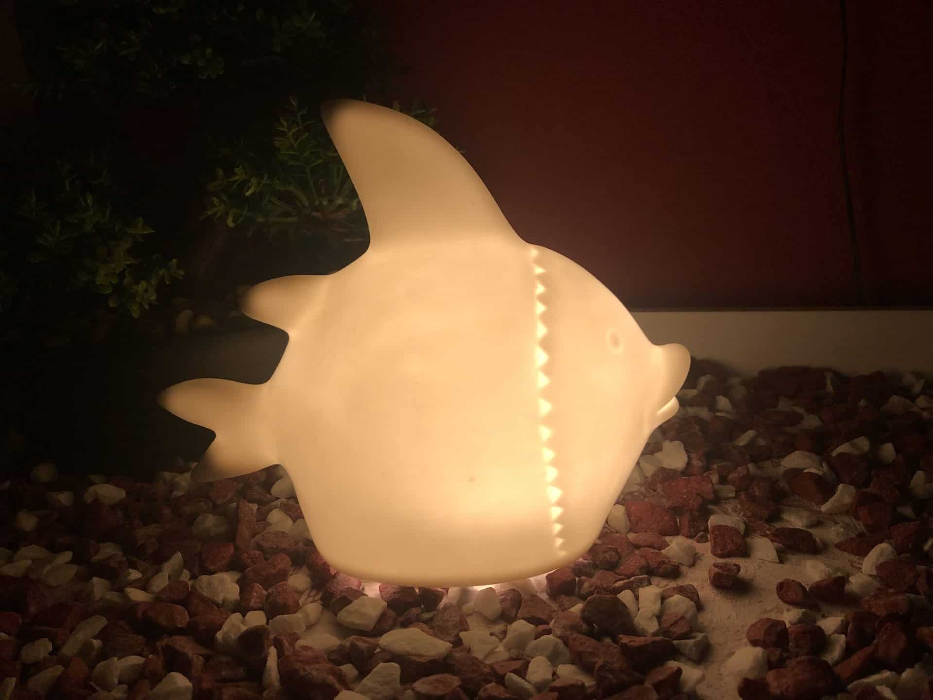 Der Dekofigur Deko Fisch Marin LED glatt