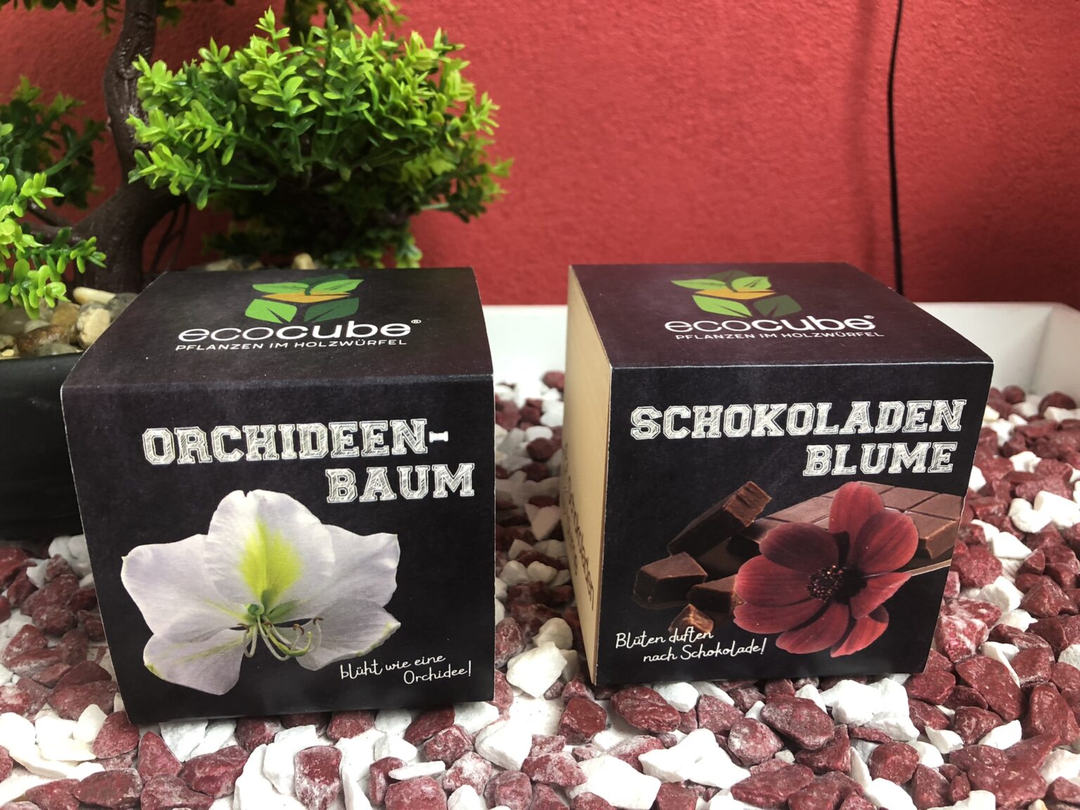 Meine beiden Green your life Ecocubes