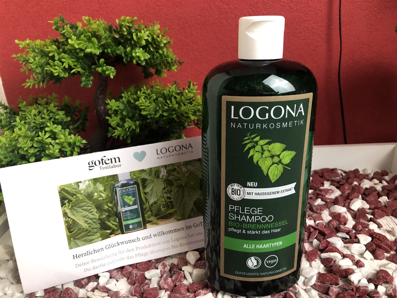 Das Logona Bio Brennnessel Shampoo