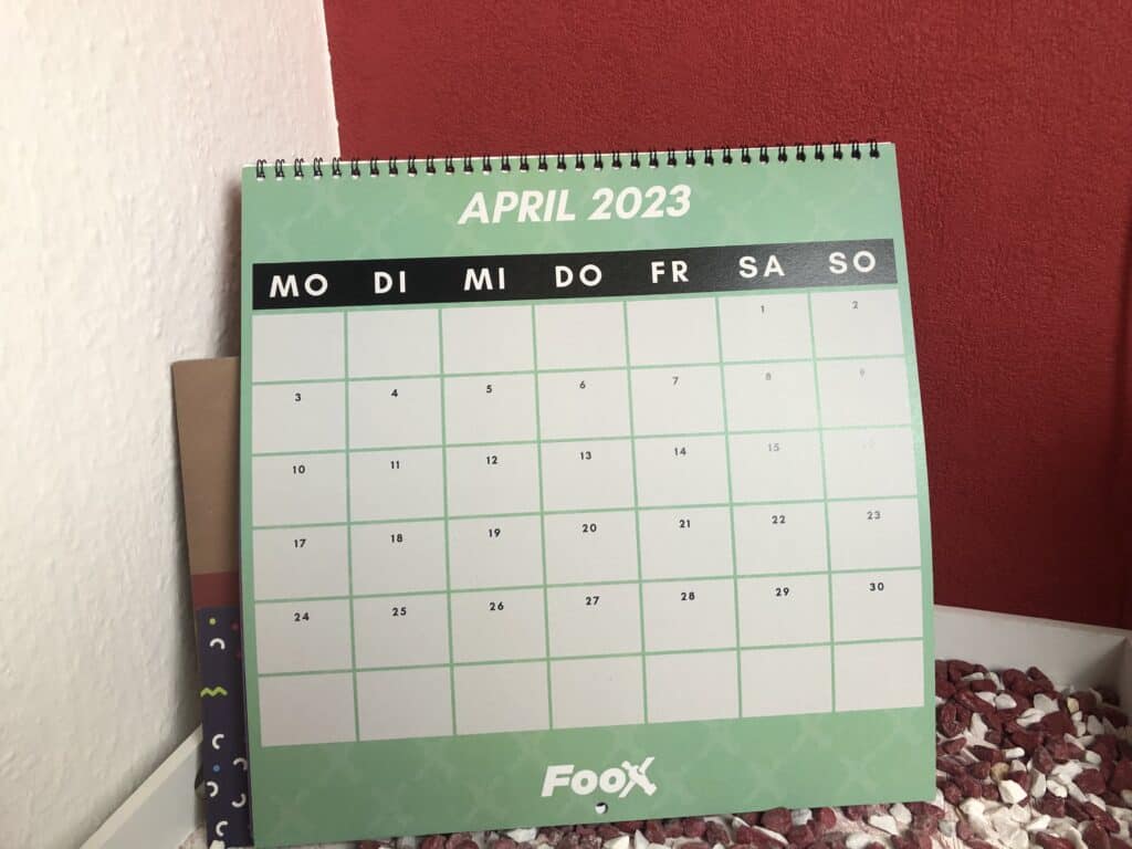 Ein Beispiel der Kalenderblätter des Foox Trickshot-Kalender 2023 