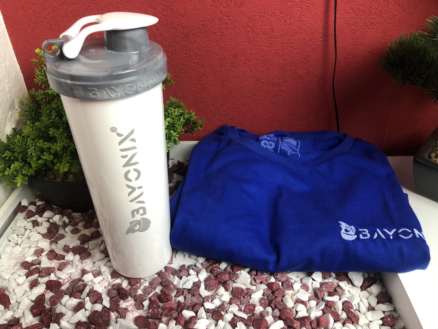 Meine Trinkflasche und das T-Shirt von Bayonix
