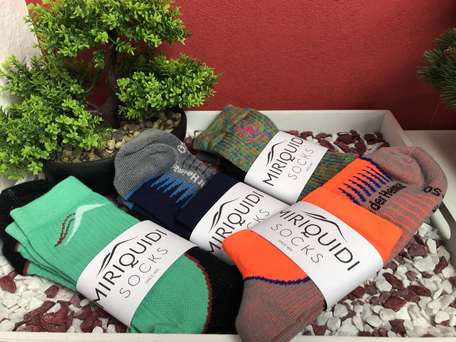 Einige der Sieber Sport Strumpffabrik Miriquidi Socks