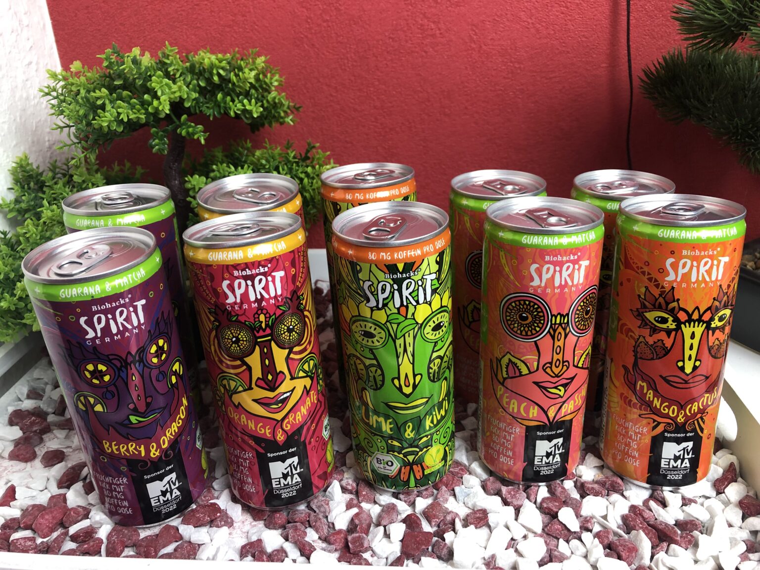 Mein Testpaket der BIOHACKS Energee Spirit