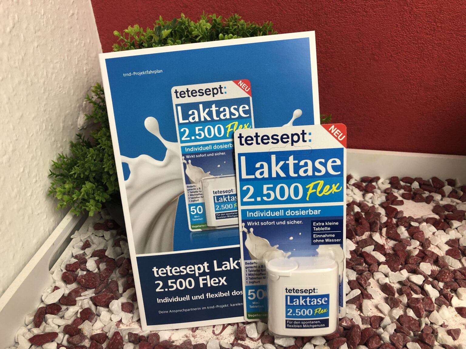 Die Tetesept Laktase 2.500 Flex