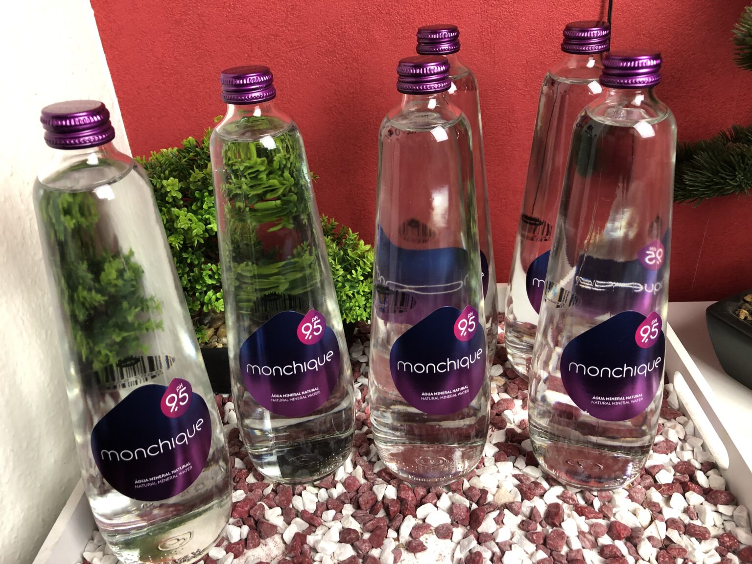 Mein LusoGourmet Basisches Wasser