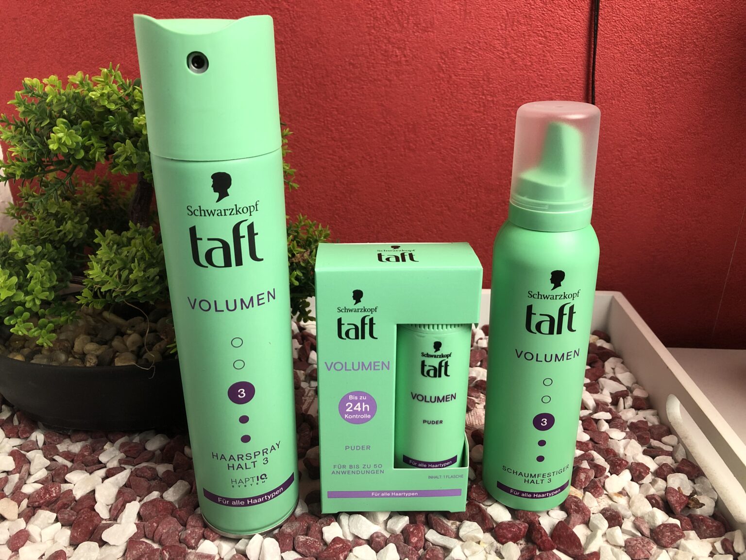 Meine drei Produkte von Taft Volumen