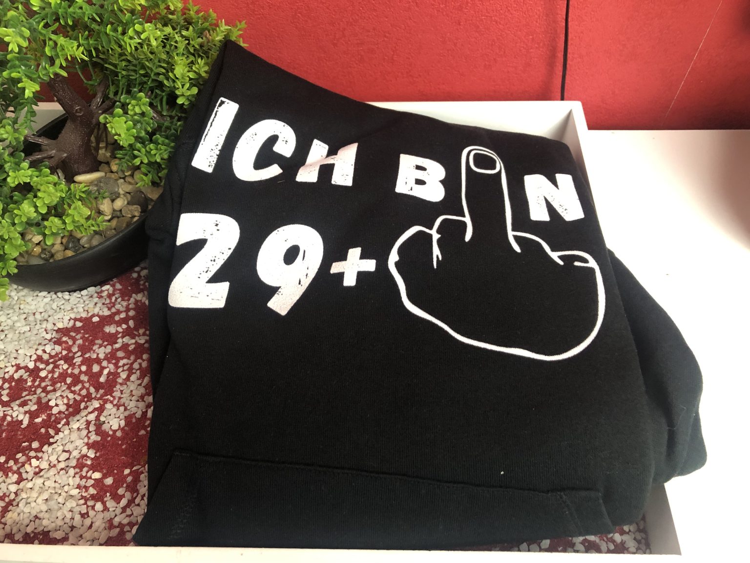 Der Memes Ger Hoodie 29+