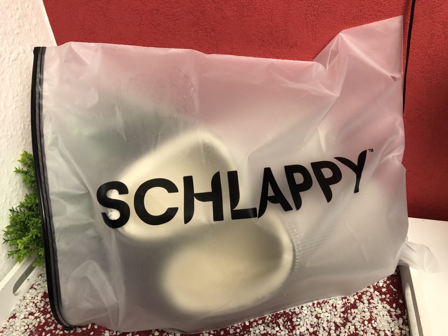 Schlappy das Original, ein Paar meiner Schuhe