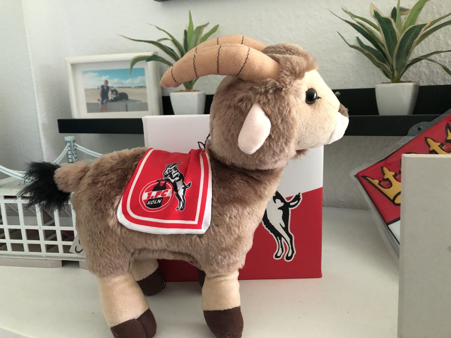 Mein 1. FC Köln Hennes Stofftier