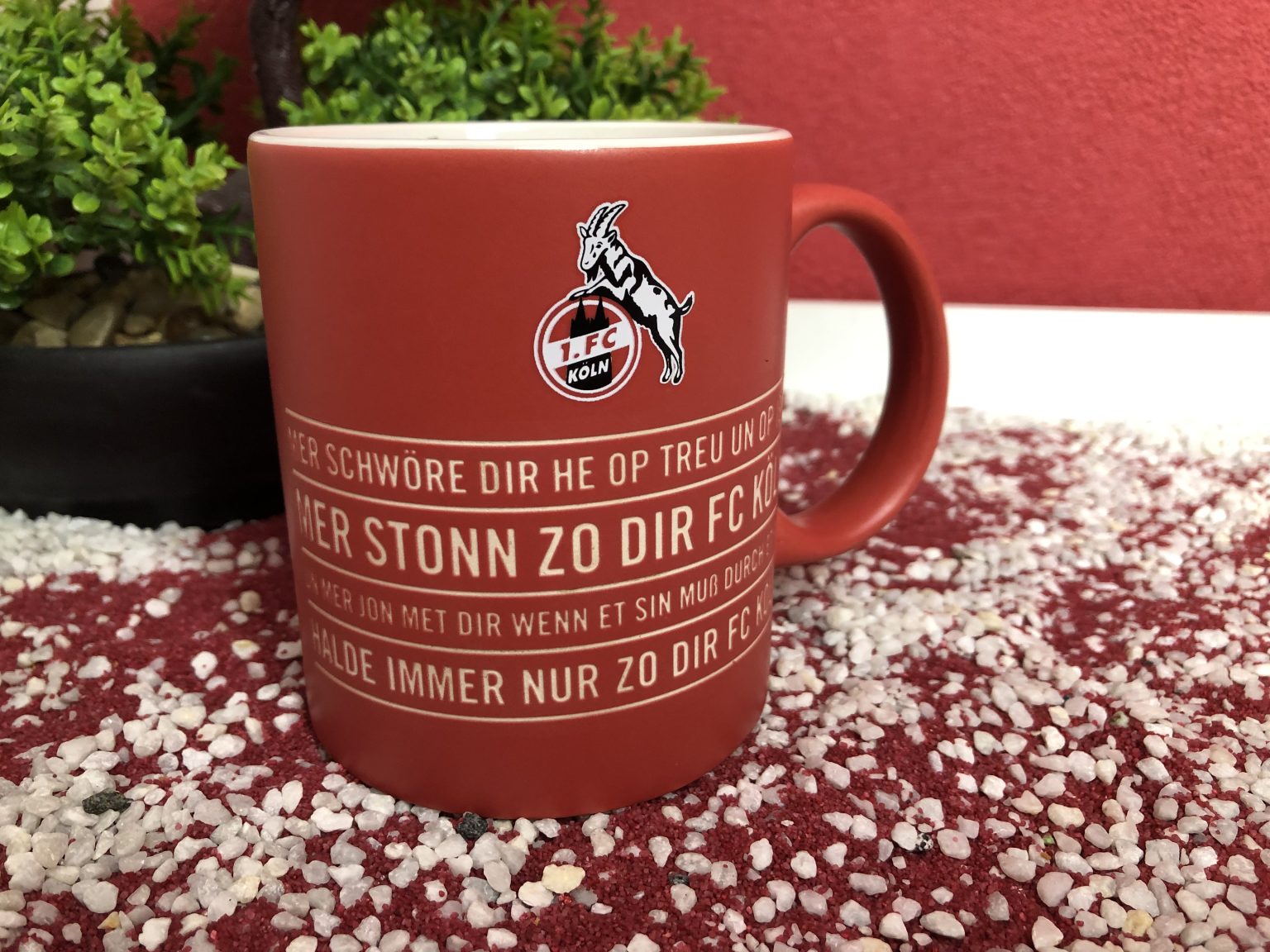 Meine Köln Tasse Hymne