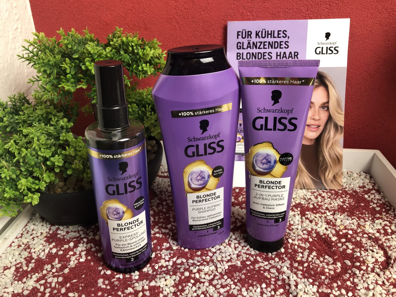 Die Gliss Blonde Perfector Serie