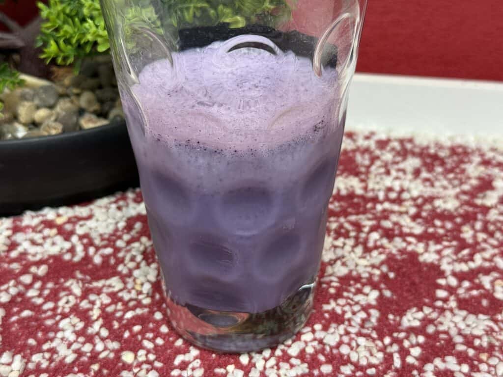 Die Sorte Blaubeere aus dem Orgainic Bio Whey Test Bundle