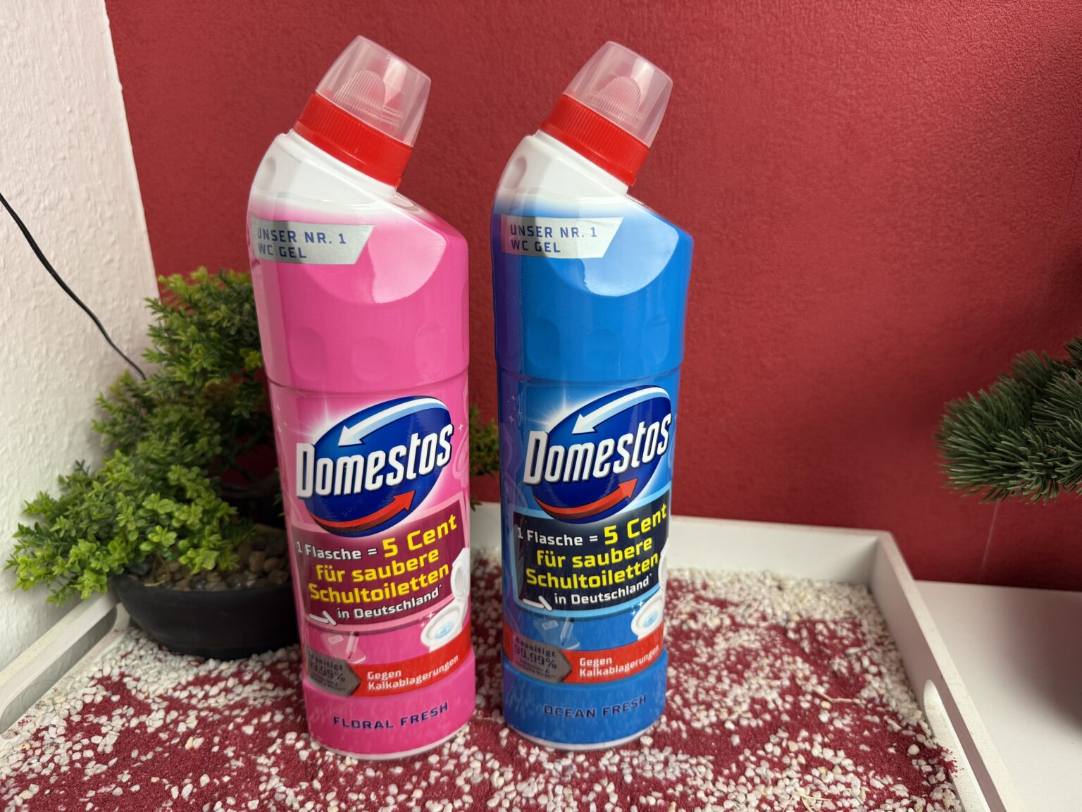 Meine beiden Sorten des Domestos WC Reiniger