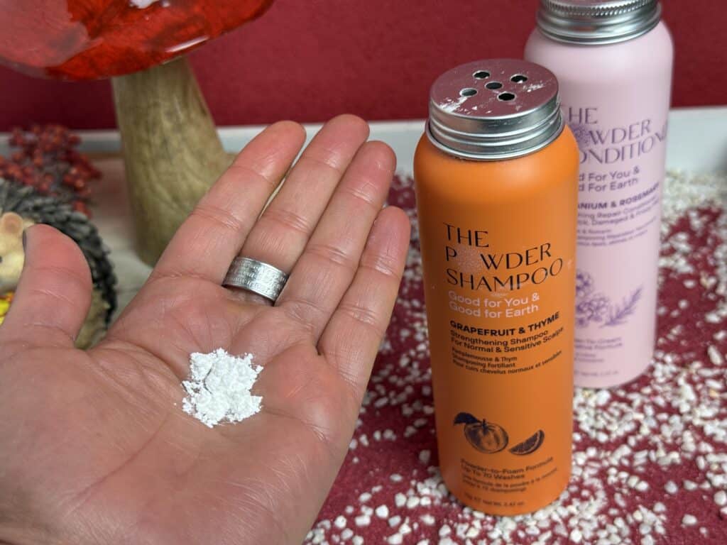 So sieht das The Powder Shampoo auf der Hand aus