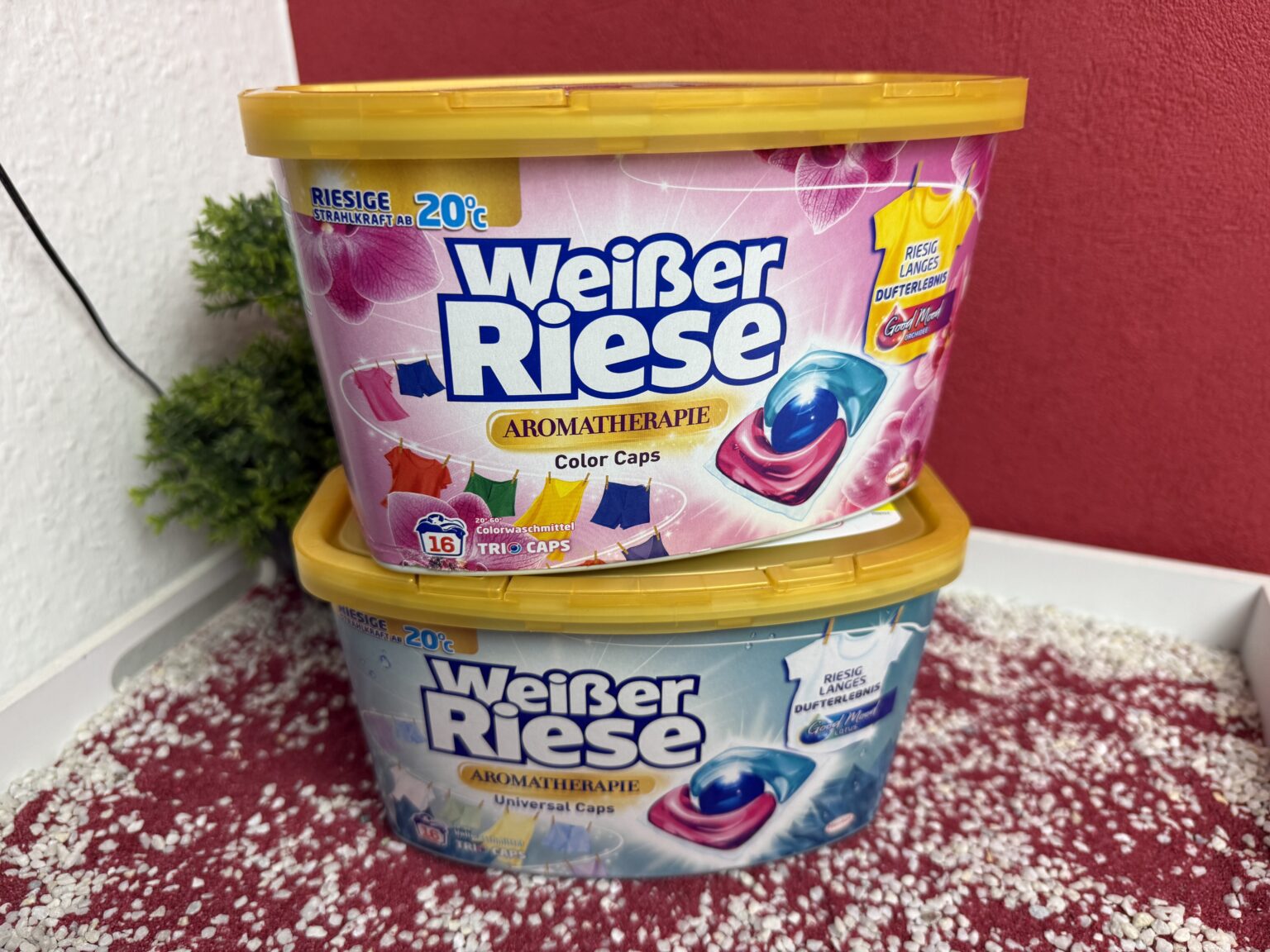 Weißer Riese Aromatherapie, die beiden Sorten