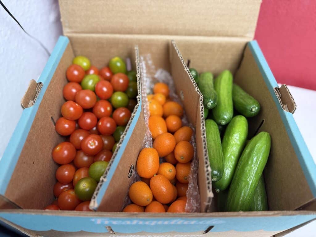 Die Freshquita Obst- und Gemüseboxen