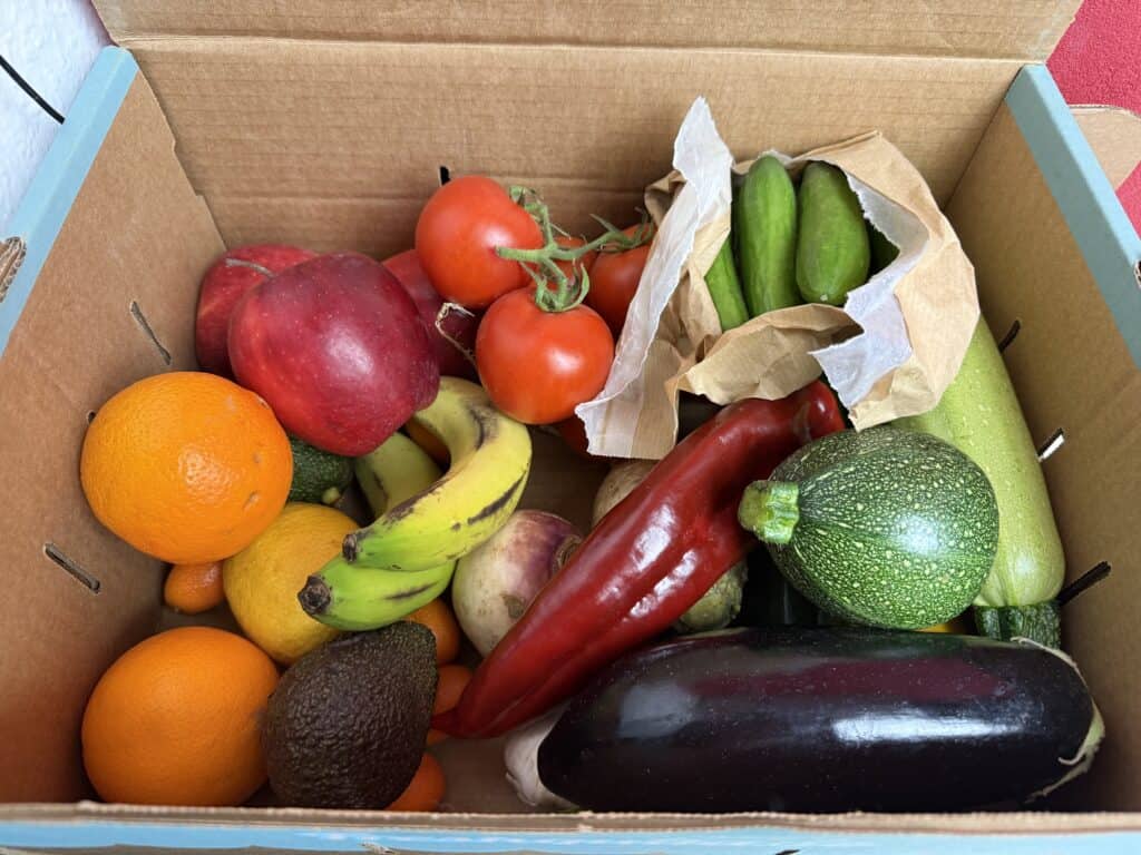 Der Inhalt der Freshquita Box